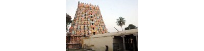 ஸ்ரீ வைகுண்டம்